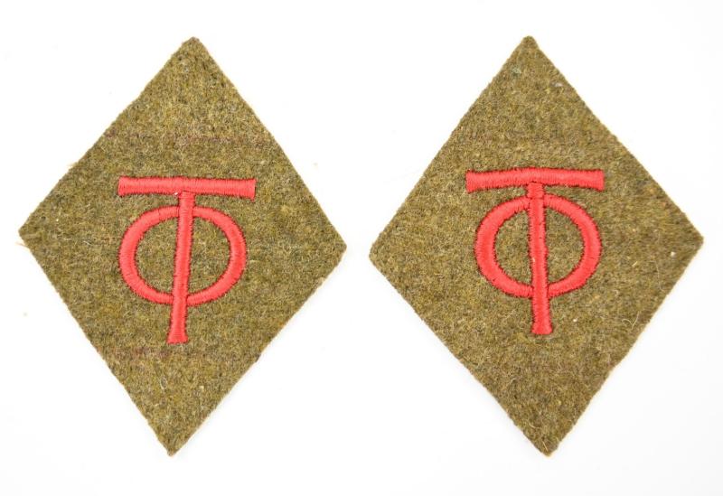 German Organisation Todt Rank Collar tabs