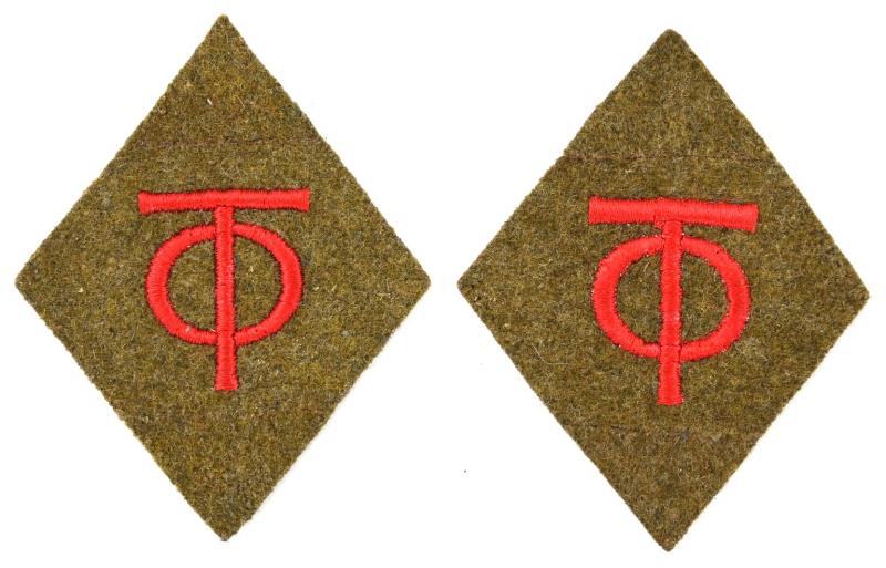 German Organisation Todt Rank Collar tabs