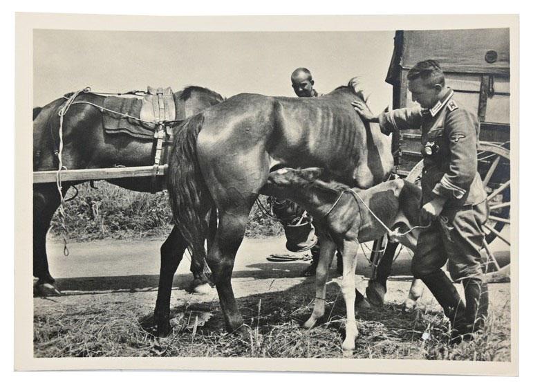 German Waffen-SS Kriegsberichter Postcard 'Unsere Waffen-SS'