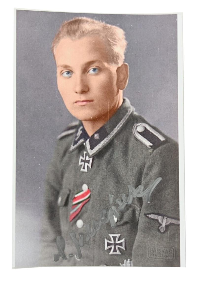Signature of Waffen-SS KC Recipient 'Harald Nugiseks'