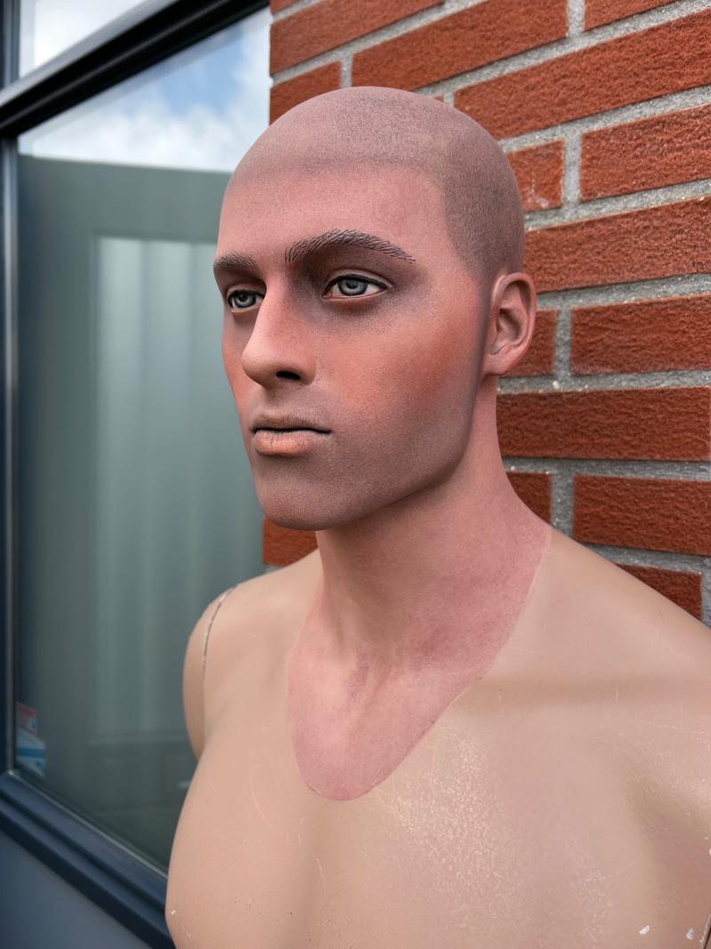 Stunning Painted Male Mannequin