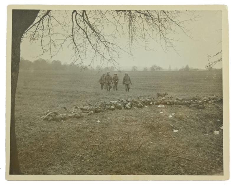US WW2 Press Photo 'Dead Germans in Line'