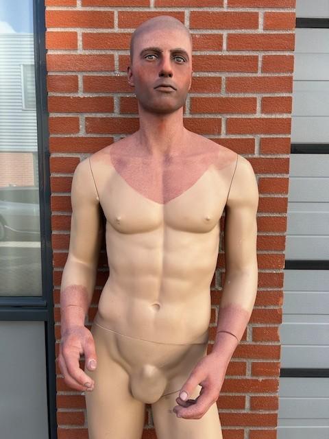 Stunning Painted Male Mannequin