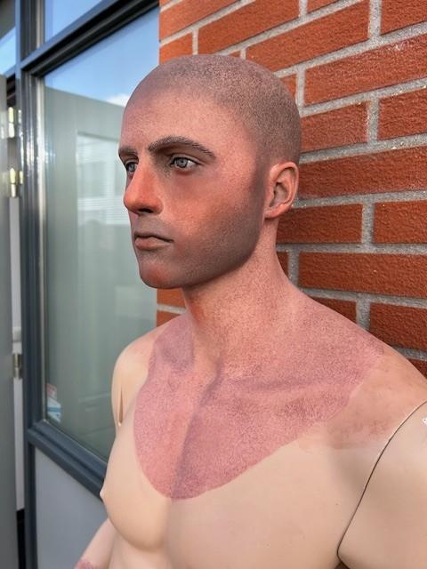 Stunning Painted Male Mannequin