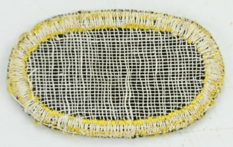 US WW2 Jumpwing Oval 541st PIR 11th Airborne Division