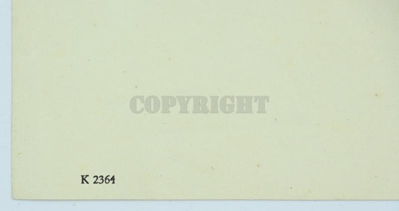 Dutch Waffen-SS KIA Letter 'Laurens Still' with extra