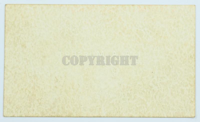 Dutch NSB Leader 'Anton Mussert' Business Card