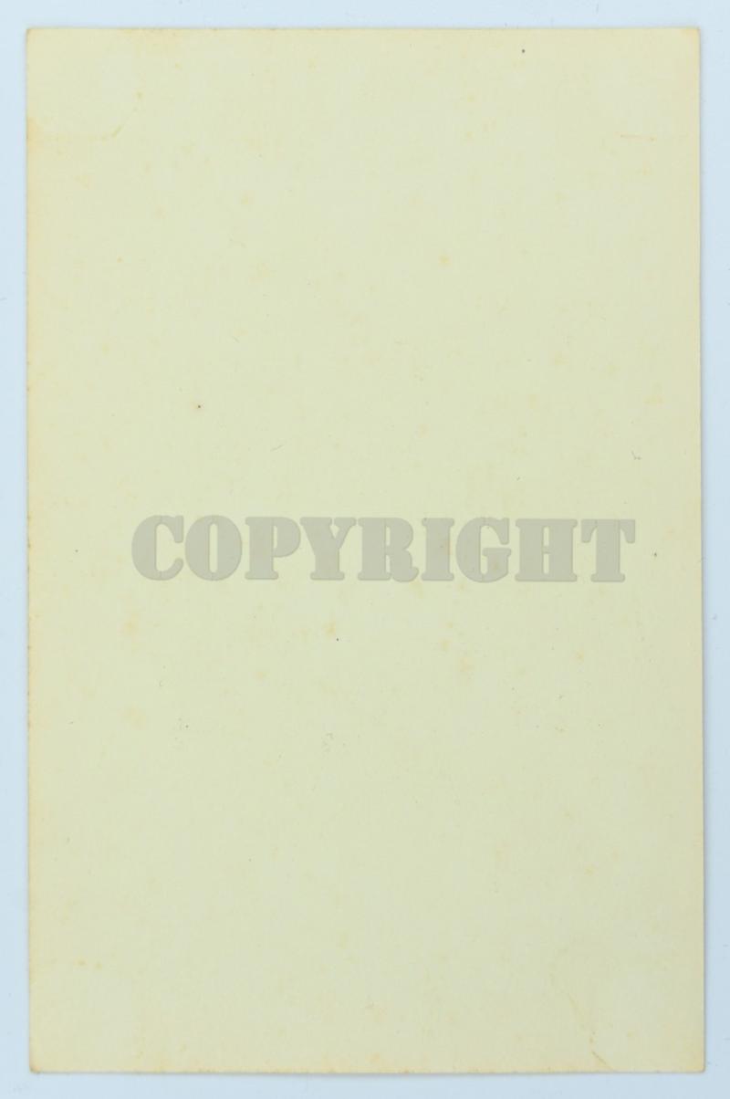 German NSDAP Postcard Generalkommissar 'Fritz Schmidt'