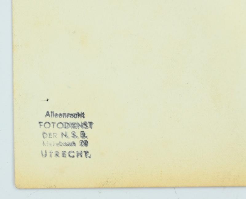 Dutch Waffen-SS Portrait Picture 'Gerardus Mooijman'