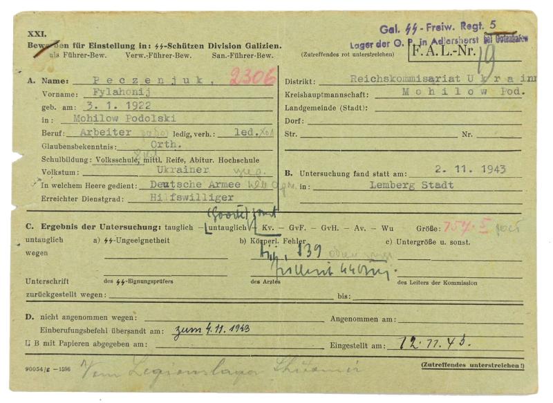 German Waffen-SS Member Document Division 