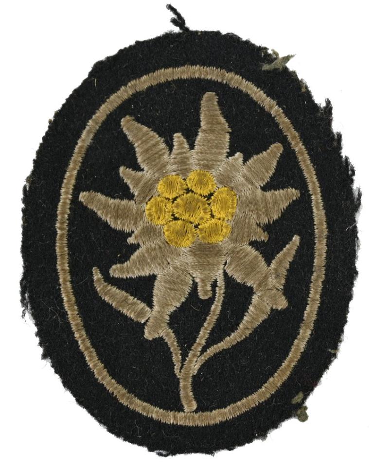 German Waffen-SS GBJ Sleeve patch