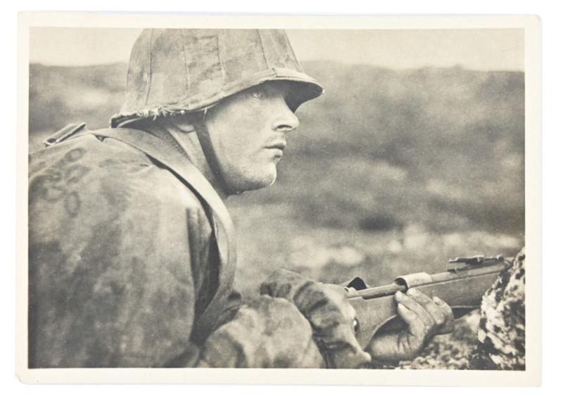 German Waffen-SS Postcard 'GBJ Division Nord'