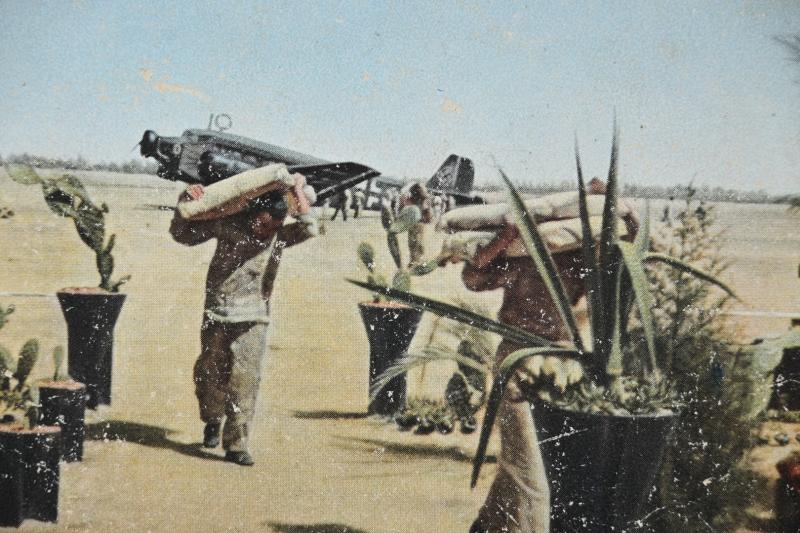 German LW Postcard 'Junkers JU-52 in Afrika'