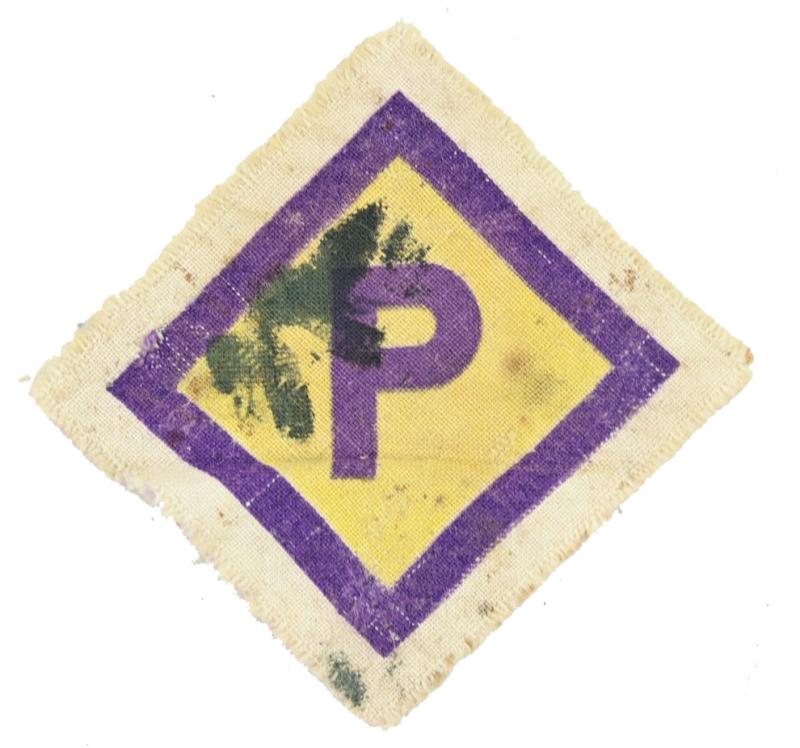 Polish WW2 POW Workers P-badge